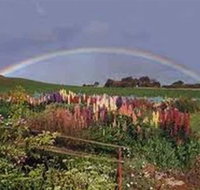 Boat Harbour Garden Cottages - Newcastle Accommodation