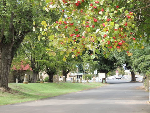 Ross Motel - New Castle Tourism 5