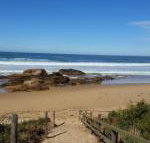 Bellbird Cottage B  B - Newcastle Accommodation