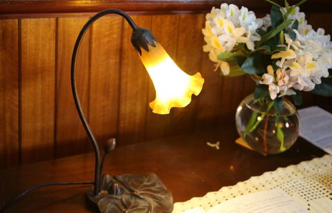 Penghana Bed & Breakfast - New Castle Tourism 3