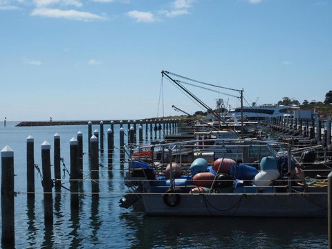 Port Relaxation - New Castle Tourism 5