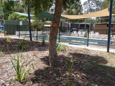 Yarrawonga Riverlands Tourist Park - Newcastle Accommodation 5
