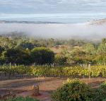 Pecan Hill BNB - New Castle Tourism