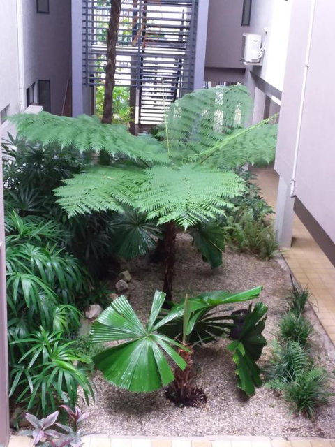 Jackies Studio Apartment - Newcastle Accommodation 5