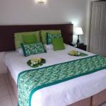 Jackies Studio Apartment - Newcastle Accommodation 0