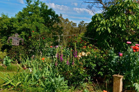 Clyde Cottage - New Castle Tourism 3