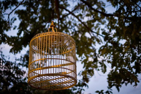 Annies Victorian Terrace Accommodation Fremantle - New Castle Tourism 1