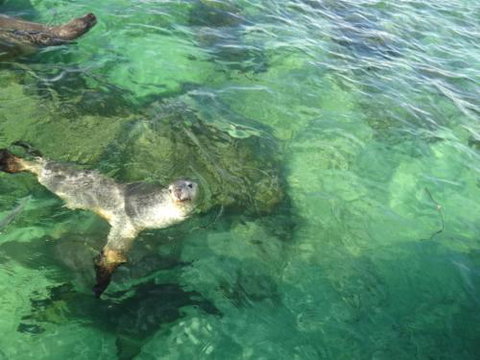 Acaciabnb - New Castle Tourism 5