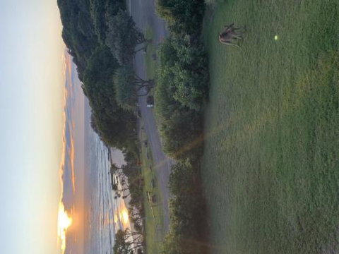 Acutterbove - New Castle Tourism 6