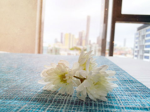 Apartments On Connor - New Castle Tourism 5