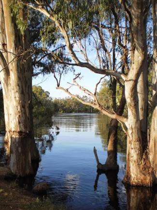 Barham Riverland Motel - Newcastle Accommodation 1