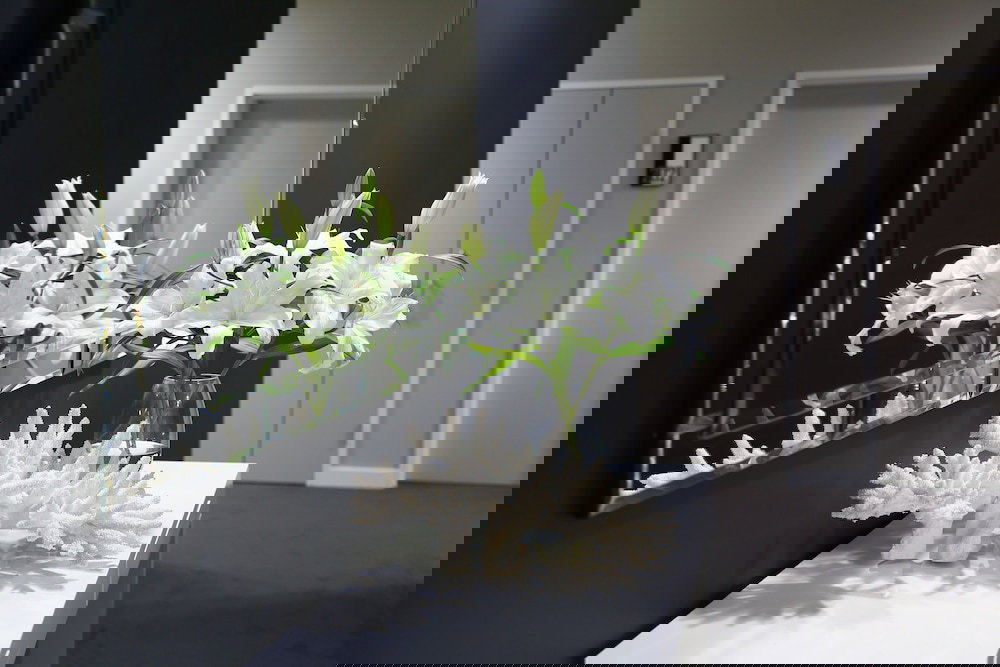 Carole Park QLD Newcastle Accommodation