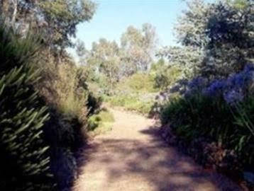 Kooringal Homestead - Newcastle Accommodation 0