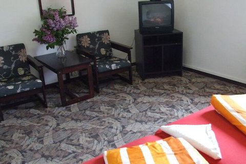 Blackboy Tree Motel - Newcastle Accommodation 6