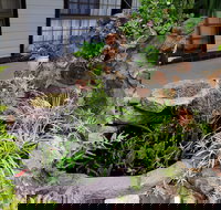 Highway Motor Inn - Newcastle Accommodation