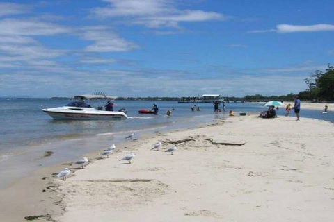 Immaculate First Floor Waterfront Unit Welsby Pde Bongaree - New Castle Tourism 7