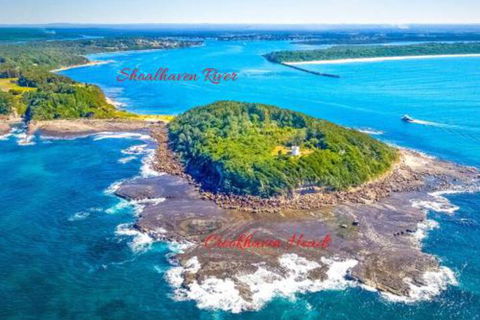 Dolphins Delight At Culburra Beach - New Castle Tourism 4