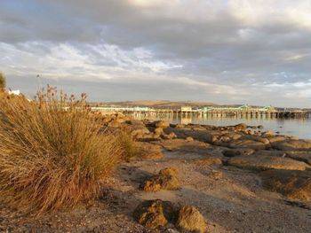 Port Lincoln Holiday Houses - New Castle Tourism 4