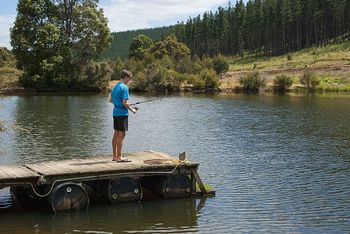 Nannup Valley Chalets - New Castle Tourism 1