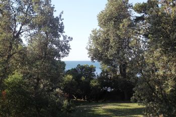 Uringah Rejuvenate Stays - New Castle Tourism 6