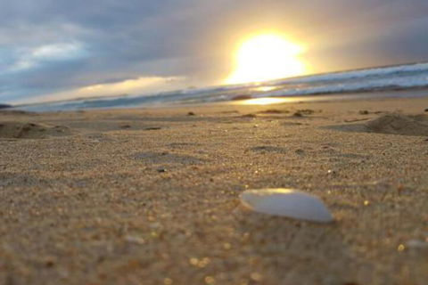 Eagles Loft - Newcastle Accommodation 6