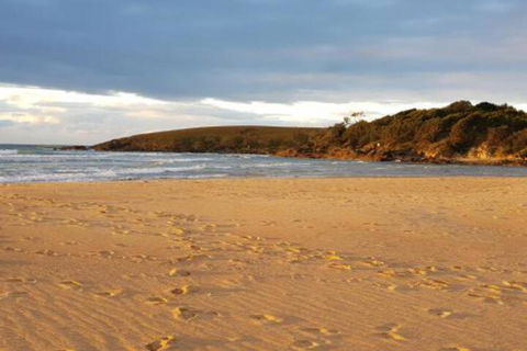 Eagles Loft - Newcastle Accommodation 5