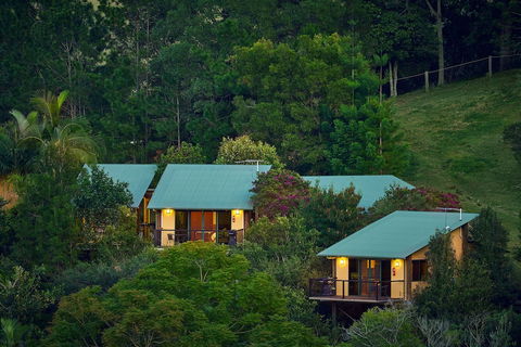 Dayboro Cottages & Llama Walks - New Castle Tourism 3
