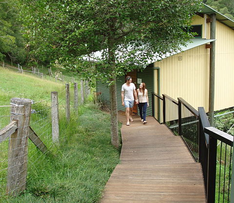 Dayboro Cottages & Llama Walks - New Castle Tourism 5
