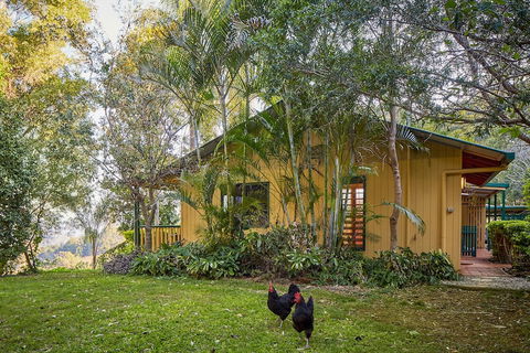 Dayboro Cottages & Llama Walks - New Castle Tourism 6