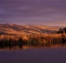 Wombat Hills Cottages