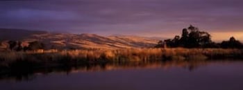 Wombat Hills Cottages - Newcastle Accommodation 0