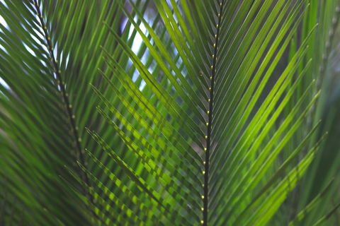 The Jackson Ranch - New Castle Tourism 2