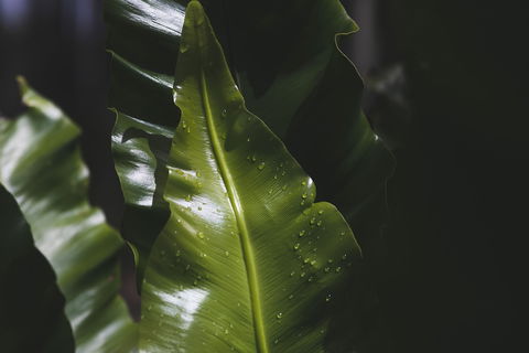 The Jackson Ranch - New Castle Tourism 1