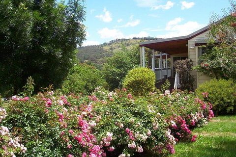 Yarra Glen Bed & Breakfast - Newcastle Accommodation 7