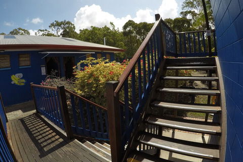 Cool Bananas Backpackers - New Castle Tourism 5