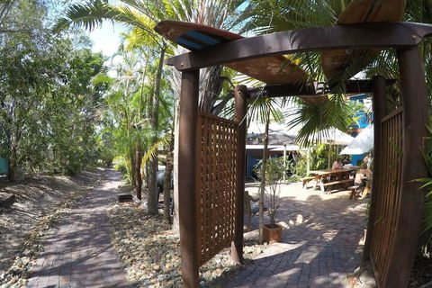 Cool Bananas Backpackers - New Castle Tourism 6