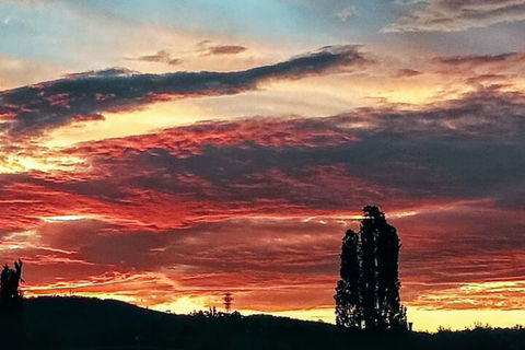 Sovereign Inn Cooma - New Castle Tourism 3