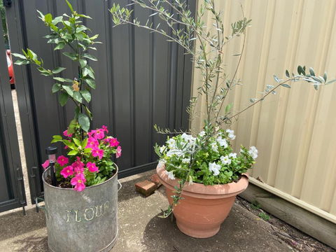 Bendigo Backpackers - New Castle Tourism 2