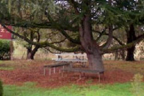 Auburn Shiraz Motel - New Castle Tourism 0