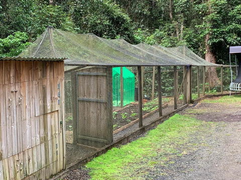 Figtree Getaway - Newcastle Accommodation 6