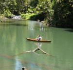 Figtree Getaway - Newcastle Accommodation