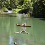 Figtree Getaway - Newcastle Accommodation 0