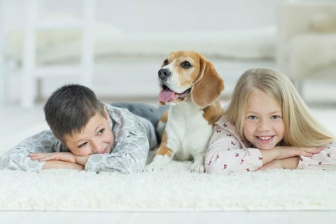 BOUTIQUE STAYS - Roxys Place - Newcastle Accommodation 4