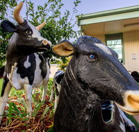 Big4 Shepparton Park Lane - Newcastle Accommodation