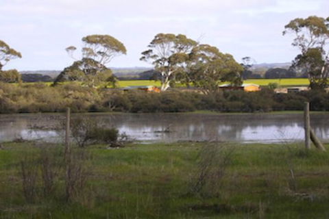 Seal Bay Cottages - New Castle Tourism 5