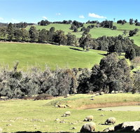 Balingup Highview Chalets - Newcastle Accommodation