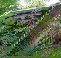 Mt Warning Rainforest Retreat - New Castle Tourism