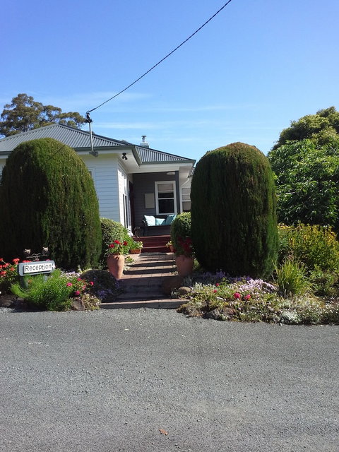Hillside Bed & Breakfast - Newcastle Accommodation 1