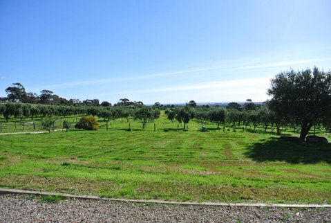 The Farm Willunga - Newcastle Accommodation 4