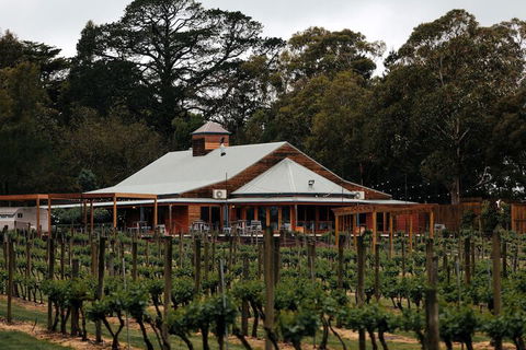 Glen Erin At Lancefield - Vineyard Retreat - New Castle Tourism 6